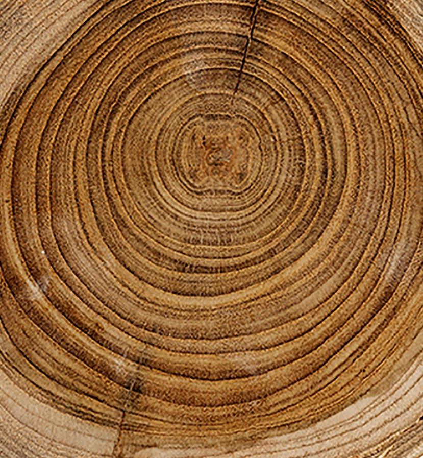Hout ➔